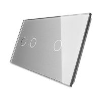 Panel de cristal Doble +1 táctil Livolo EU Standard culoare gri