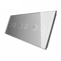 Panel de cristal Doble +Doble + Doble táctil Livolo EU Standard culoare gri