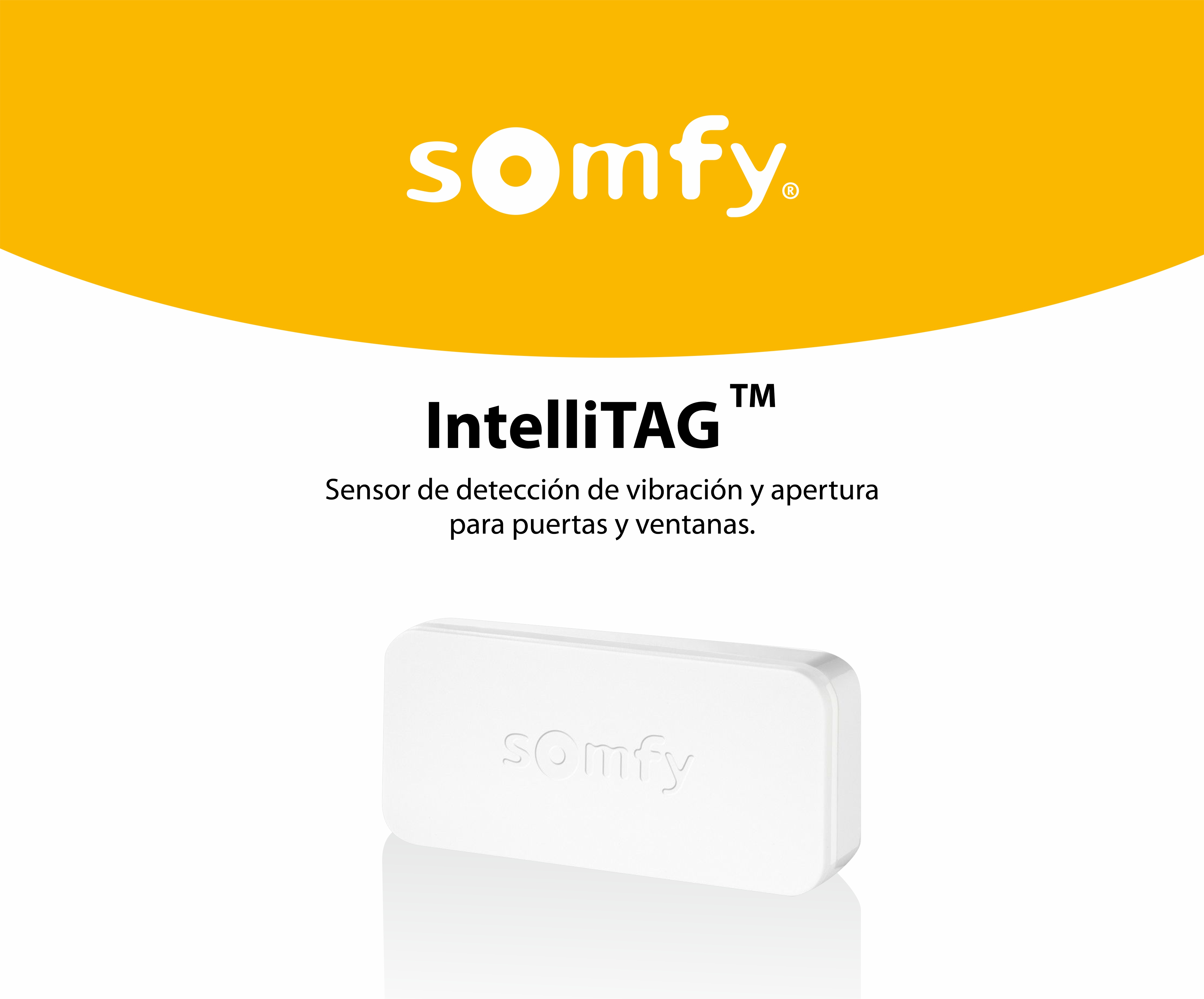 Intellitag™  Sensor de puerta / ventana interior o exterior, Compatible con Somfy One, One +, Home Alarm