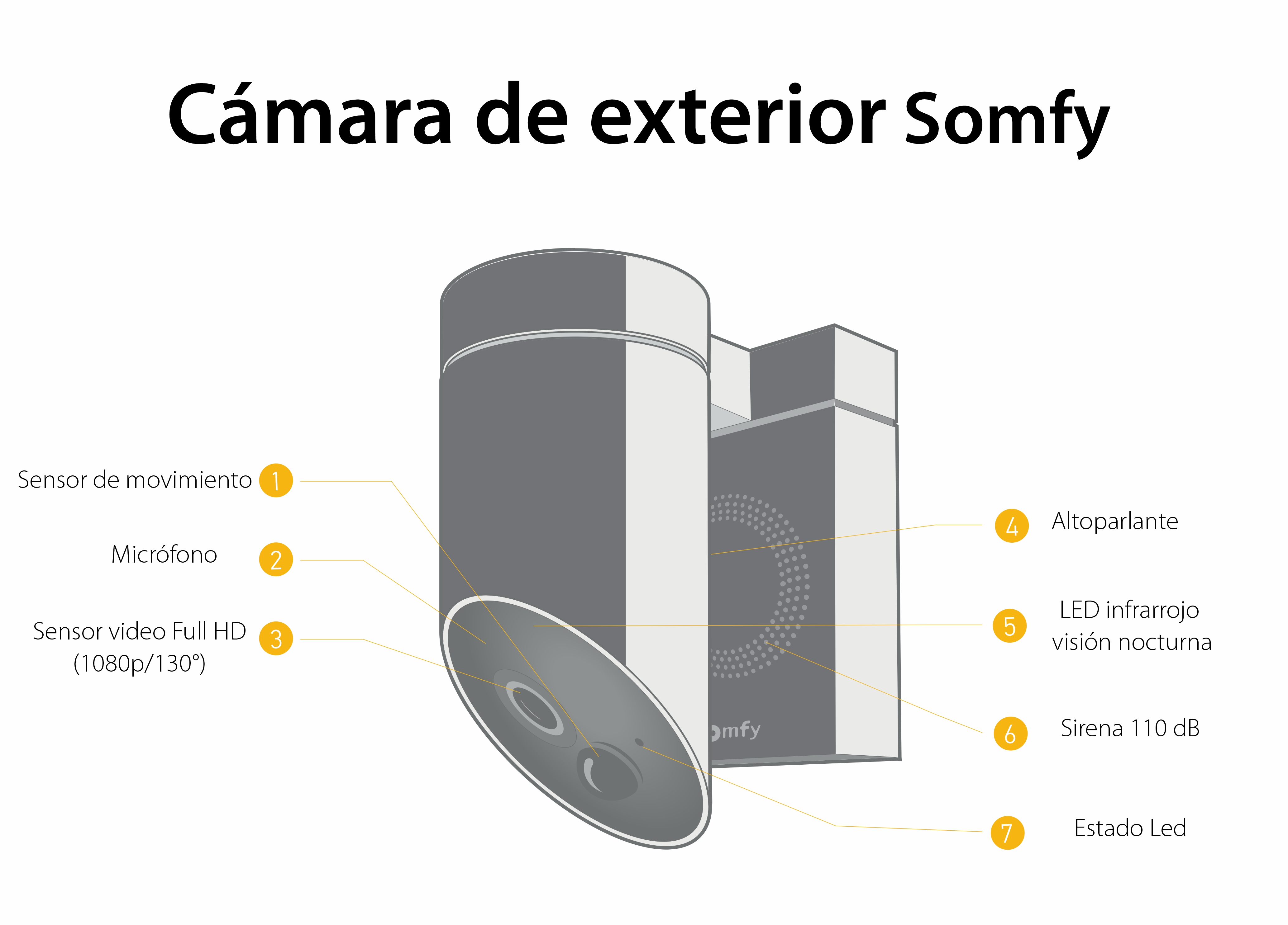 Cámara de vigilancia exterior Somfy, Wifi, 1080p Full HD, Sirena 110 dB, Posible conexión a la luminaria existente – Gris