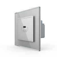 Puerto/Enchufe USB tipo C Livolo con marco de vidrio culoare gri