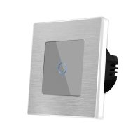 Interruptor simple táctil de vidrio y marco de aluminio LUXION culoare gri