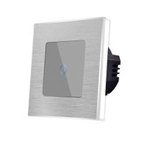 Interruptor simple táctil de cristal y marco de aluminio LUXION, 500W culoare gri