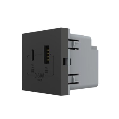 Módulo de Enchufe USB-A + USB-C LIVOLO – Nueva Serie culoare neagra