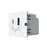 Módulo de Enchufe USB-A + USB-C LIVOLO – Nueva Serie